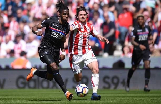 泽泽的关注 泽泽的关注