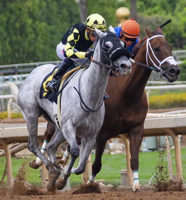 个新时代的 个新时代的